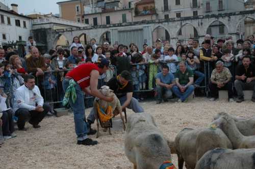 tn_2007-Festa della Primavera (22).JPG